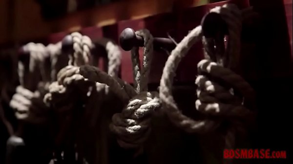 Mistress Controlled Her Slave